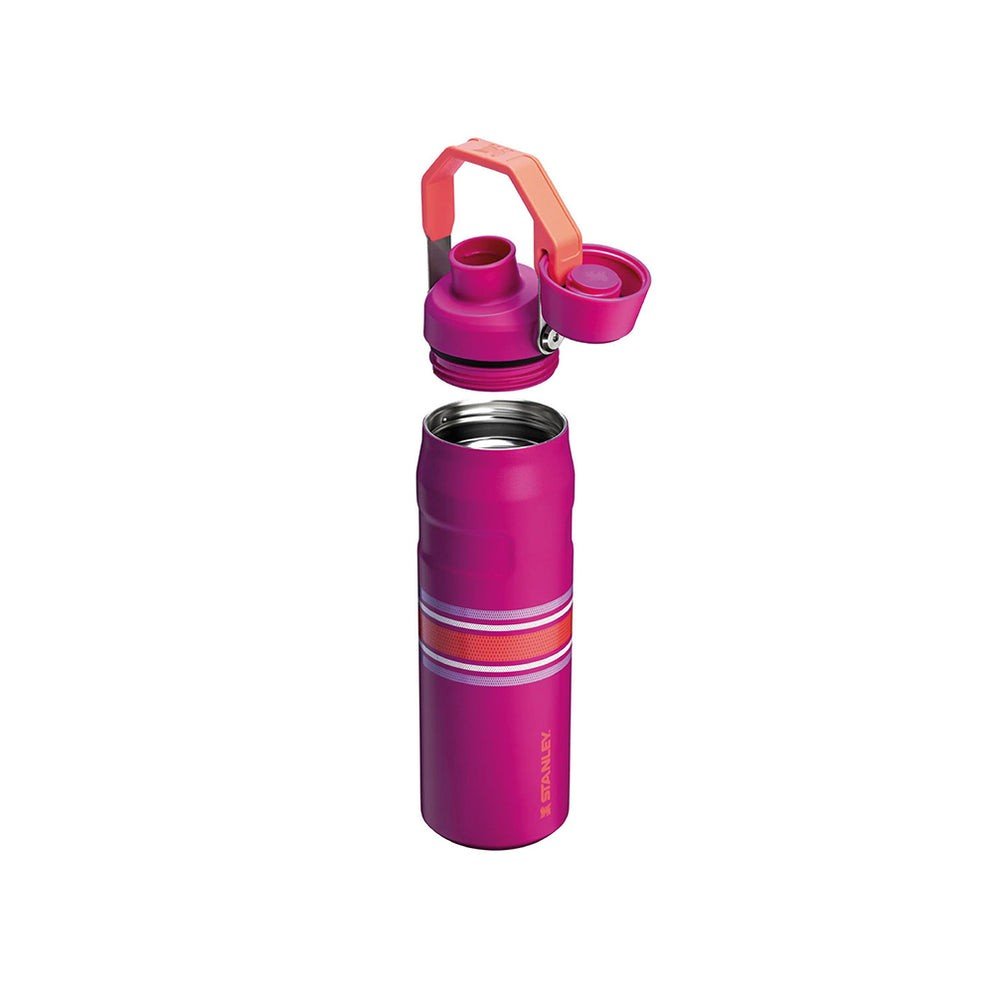 PREVENTA -Stanley aerolight fast fucsia rayas 240z