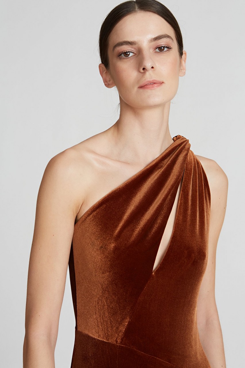 EASTON VELVET GOWN EASTON VELVET GOWN