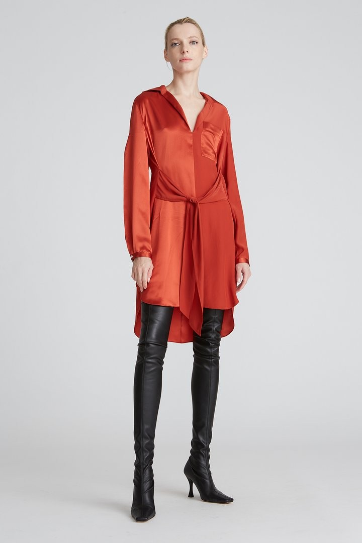 Janelle Charmeuse Dress Janelle Charmeuse Dress