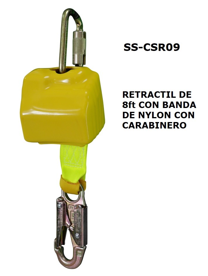 - PEINSA Online