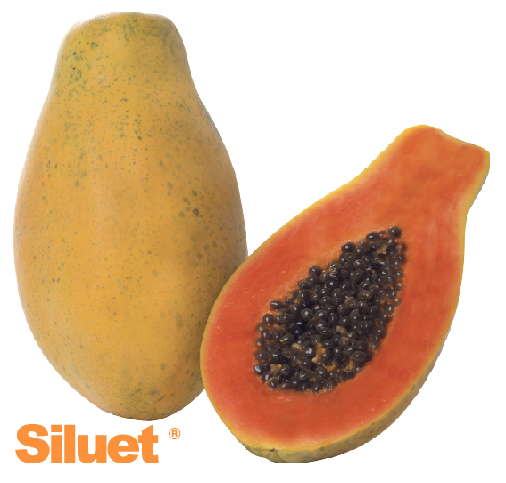 Siluet