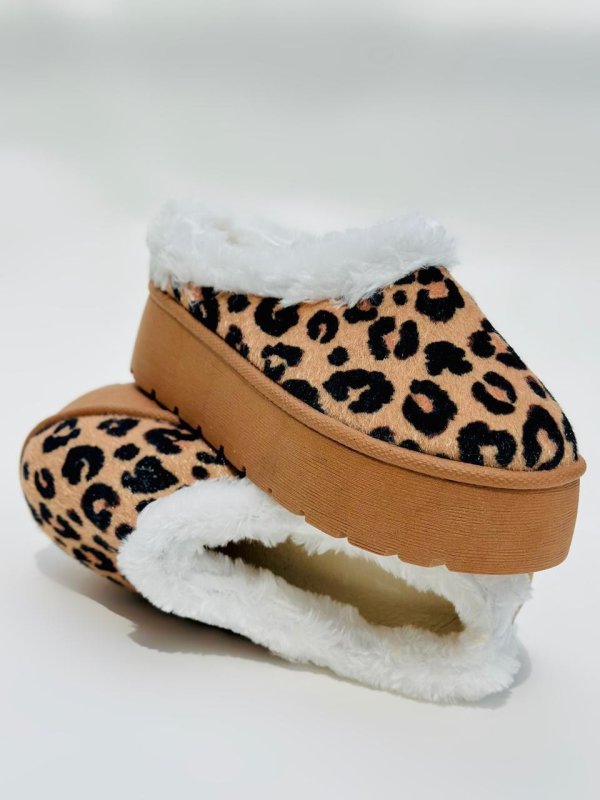 Taz Leopardo