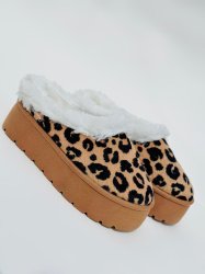 Taz Leopardo