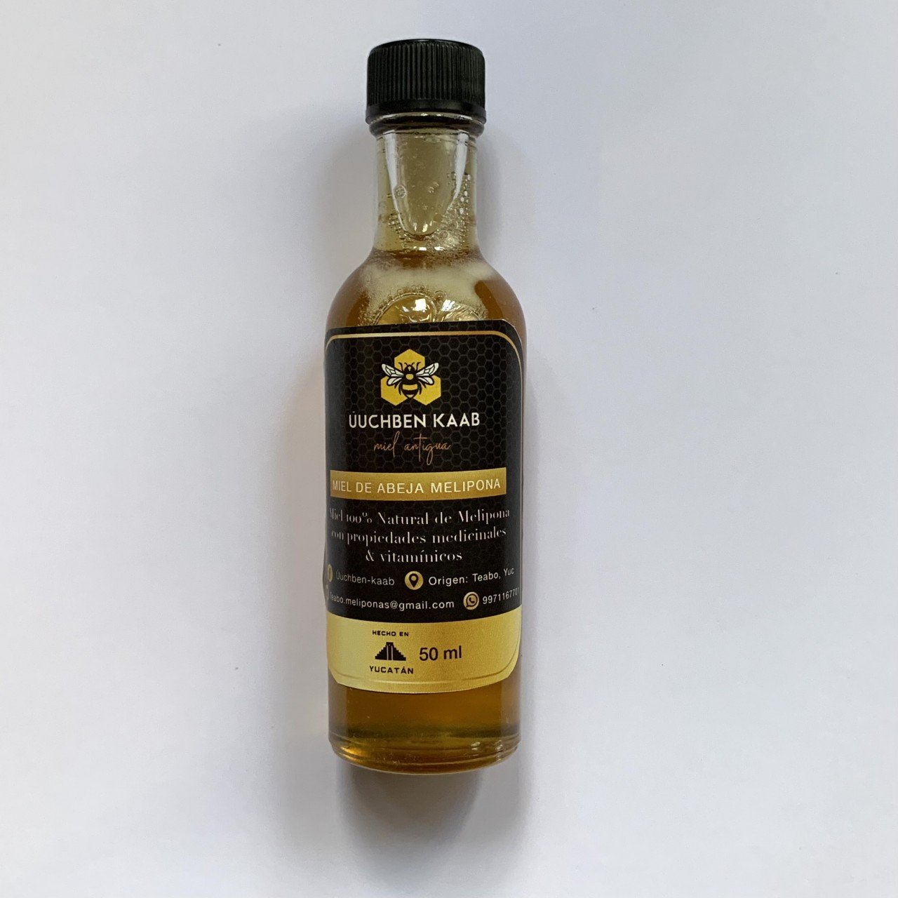 Miel de abeja malipona Teabo
