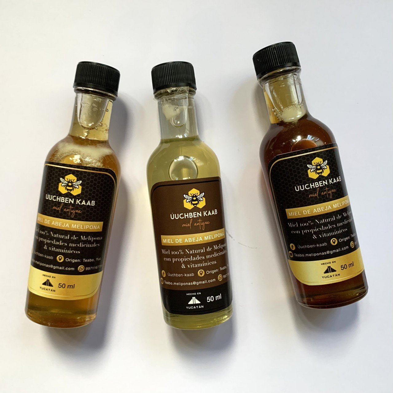 Miel de abeja malipona Teabo