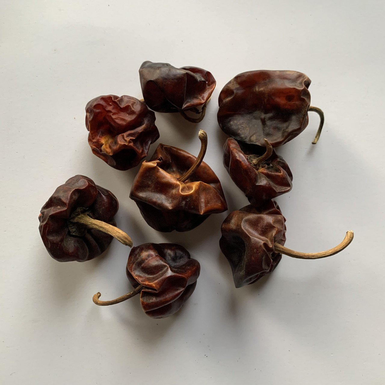 Chile Chilhuacle Rojo Seco