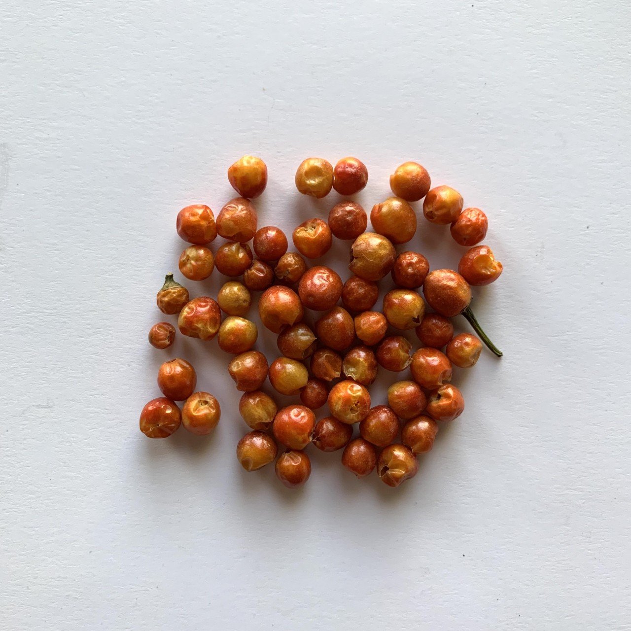 Chile Chiltepín Seco 20 gr