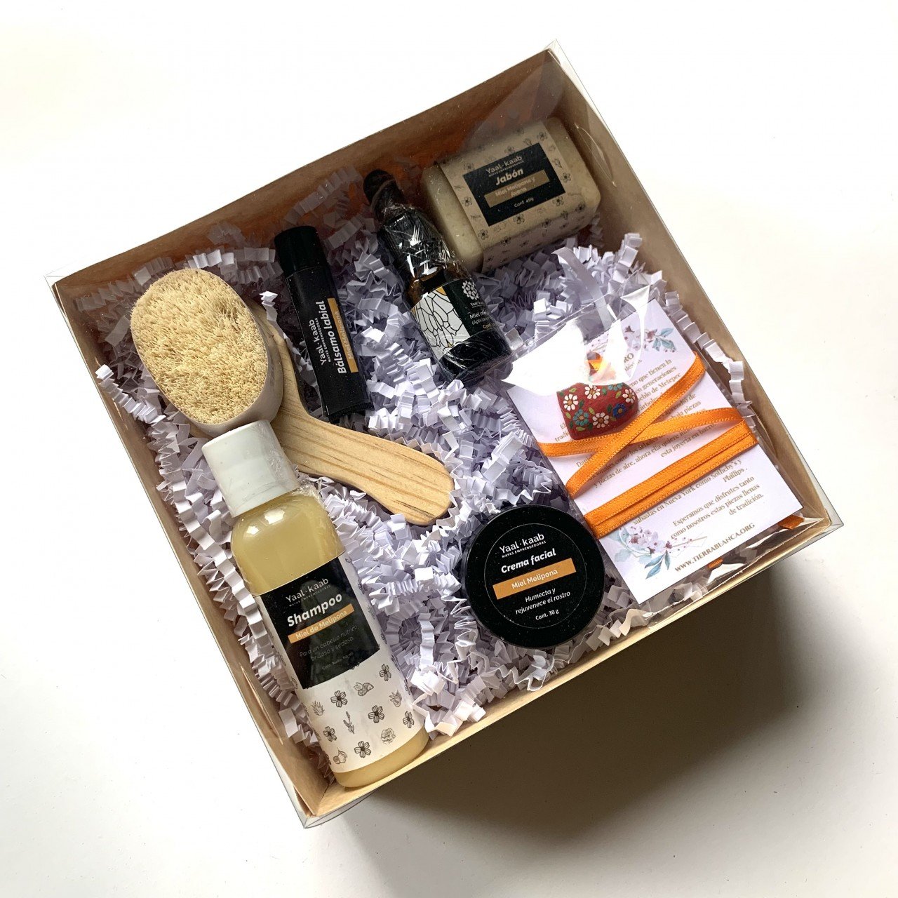Regalo Melipona