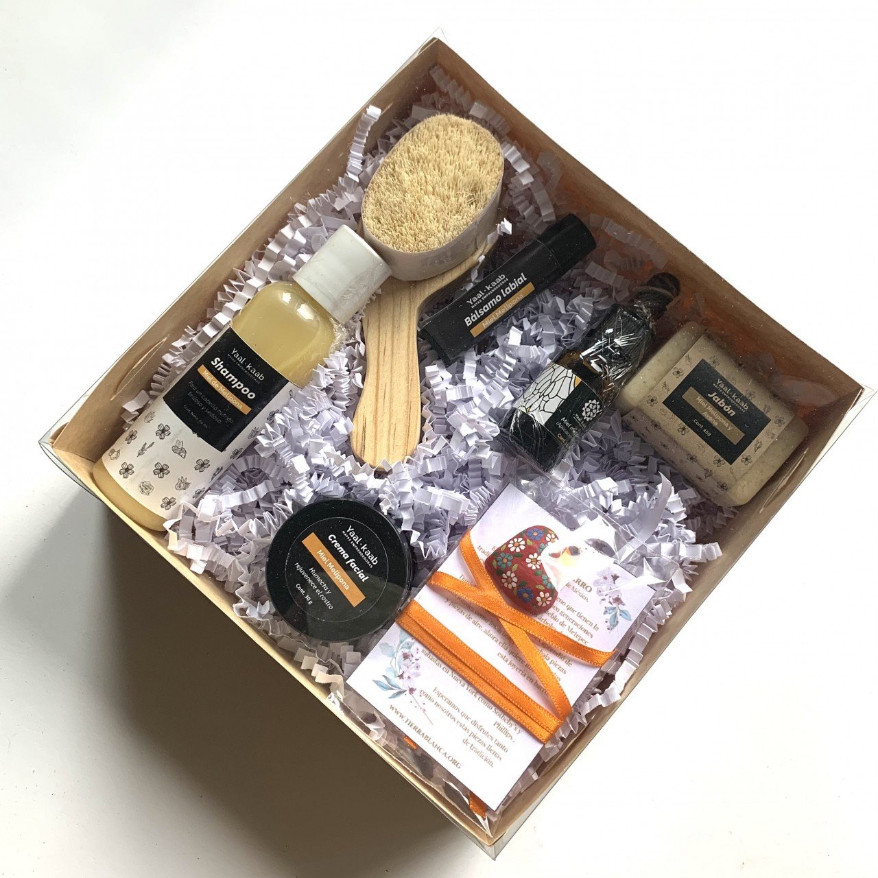 Regalo Melipona