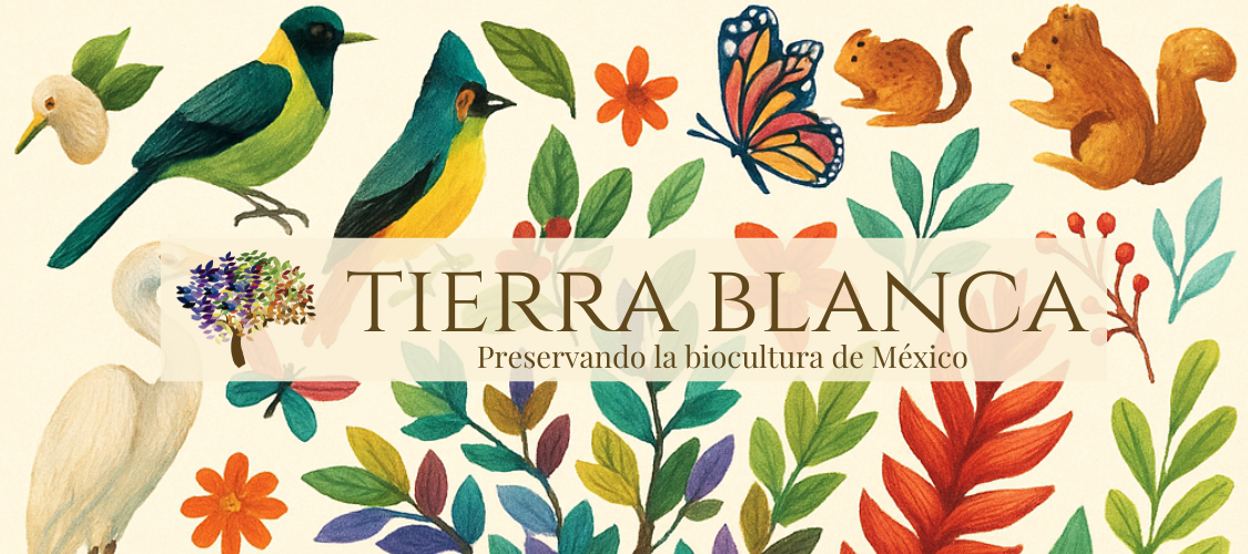 Tierra Blanca Mx